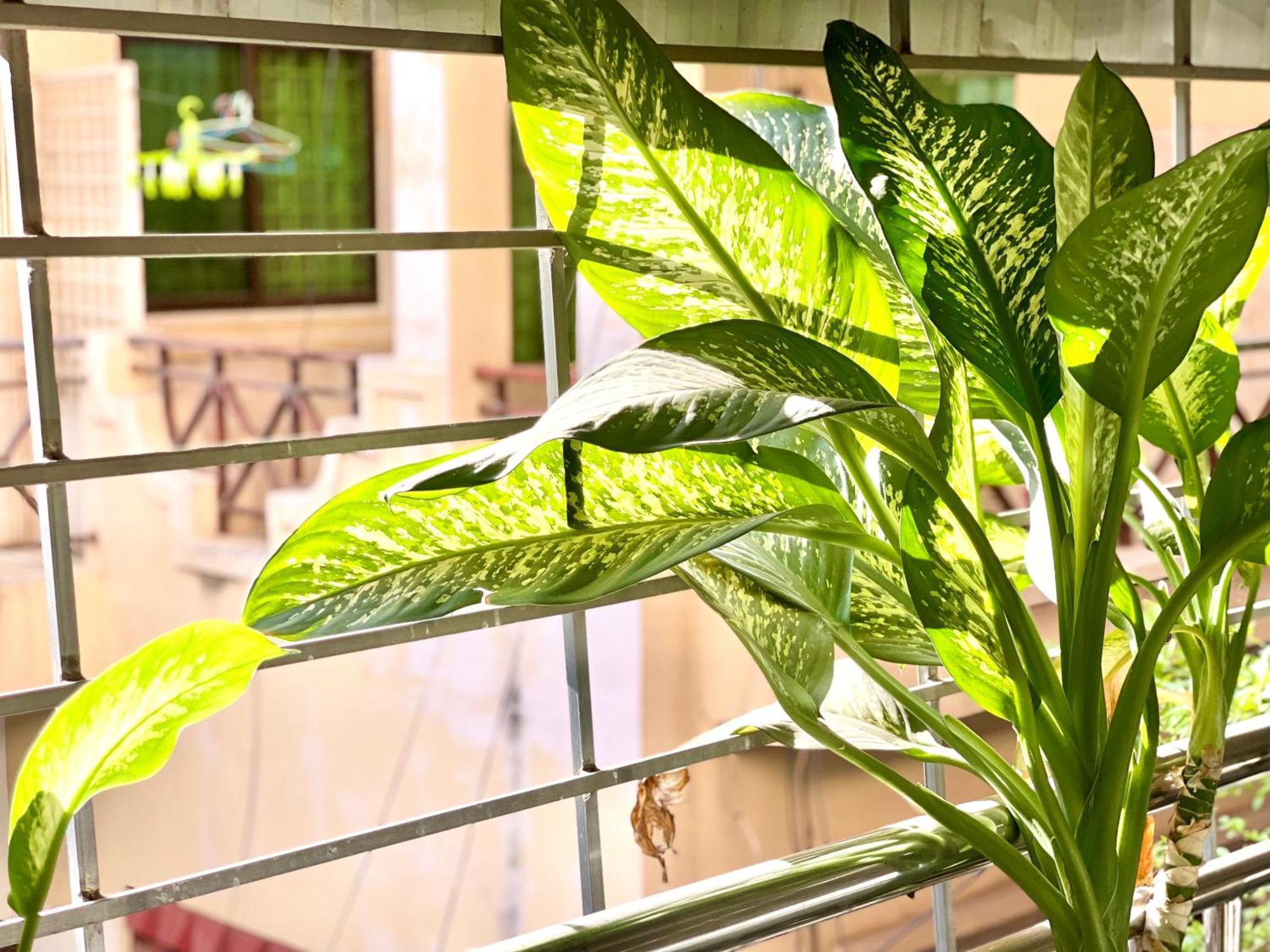 Sky Hotel Central Phnom Penh - Rooms & Apartments Bagian luar foto